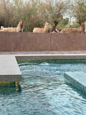 Гостиница Ckoi Atacama Lodge  Сан-Педро-Де-Атакама